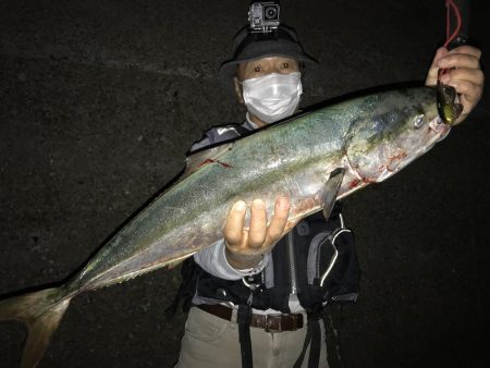 ナブラ天国　メジロ天国